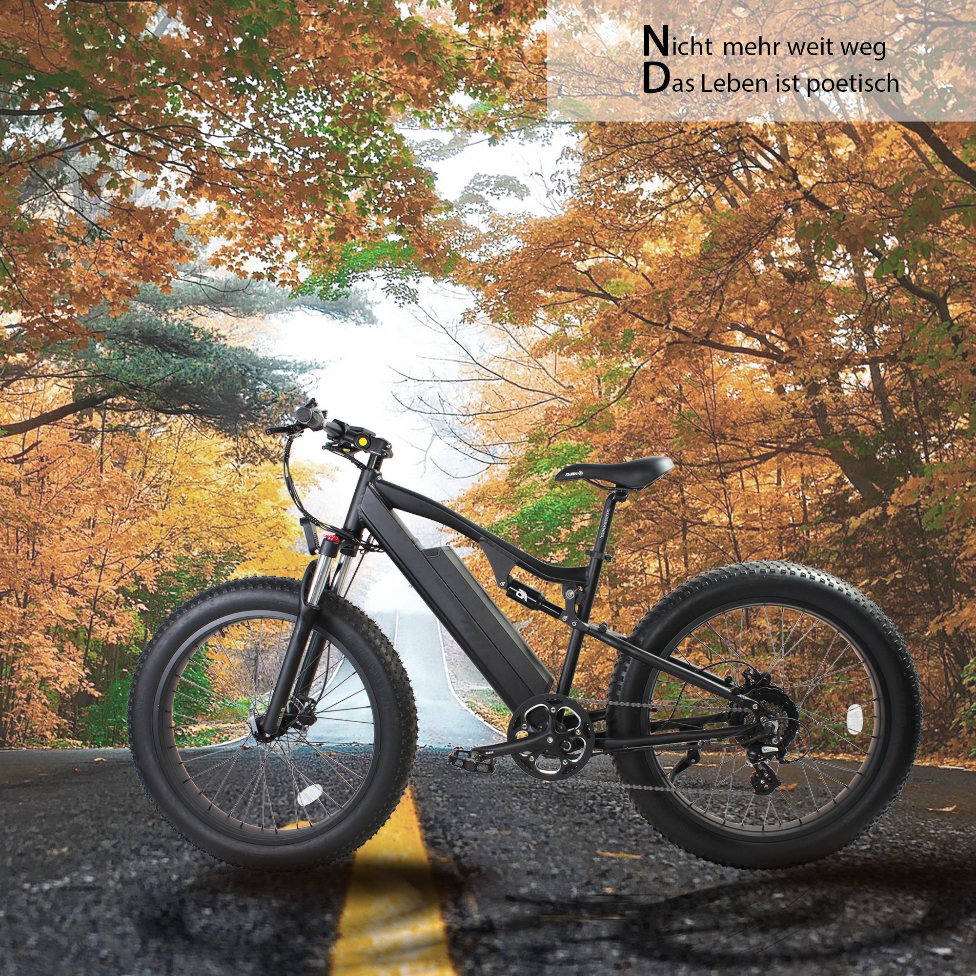 decovi E-Bike 26 Zoll Elektrofahrrad E-Bike, 48V 17.5Ah Lithium Batterie