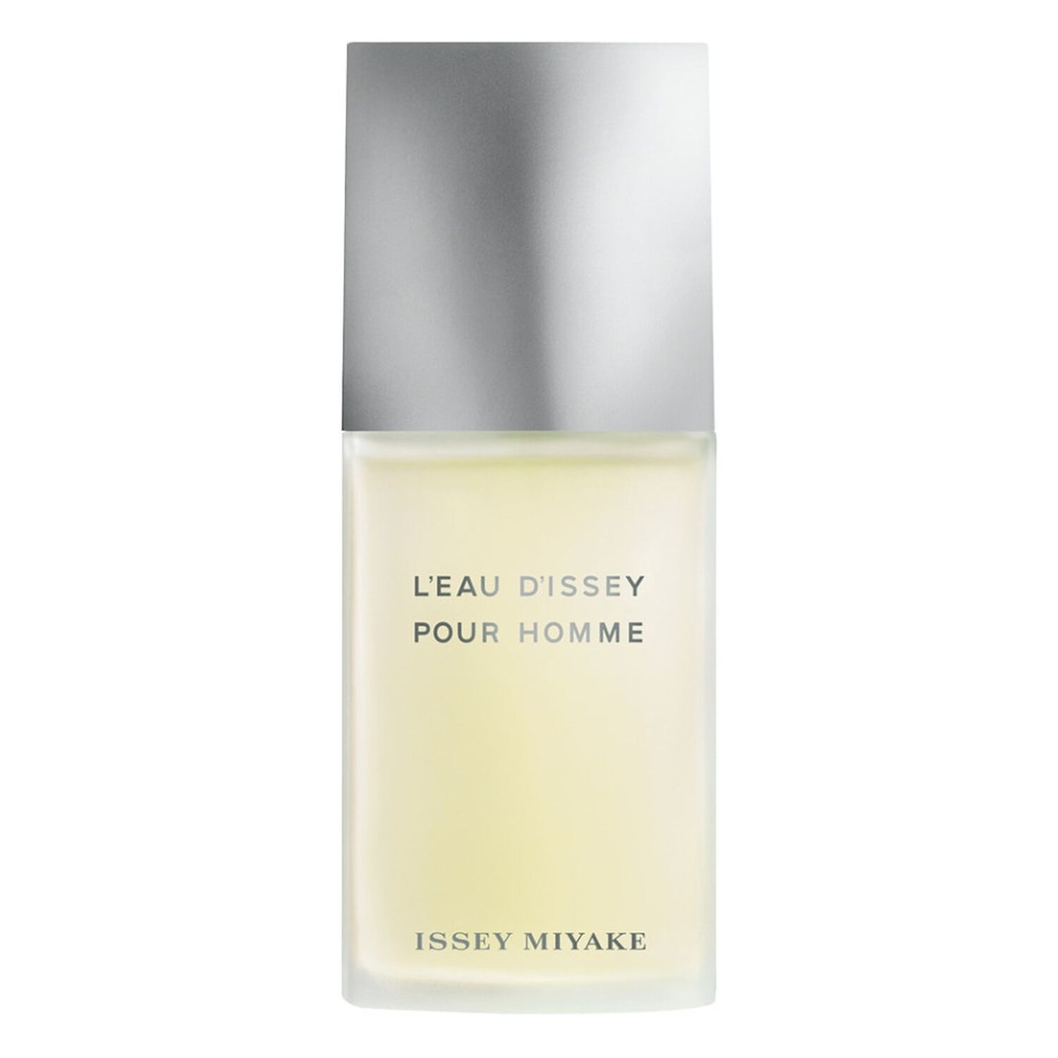 Issey Miyake L'Eau d'Issey pour Homme Eau de Toilette