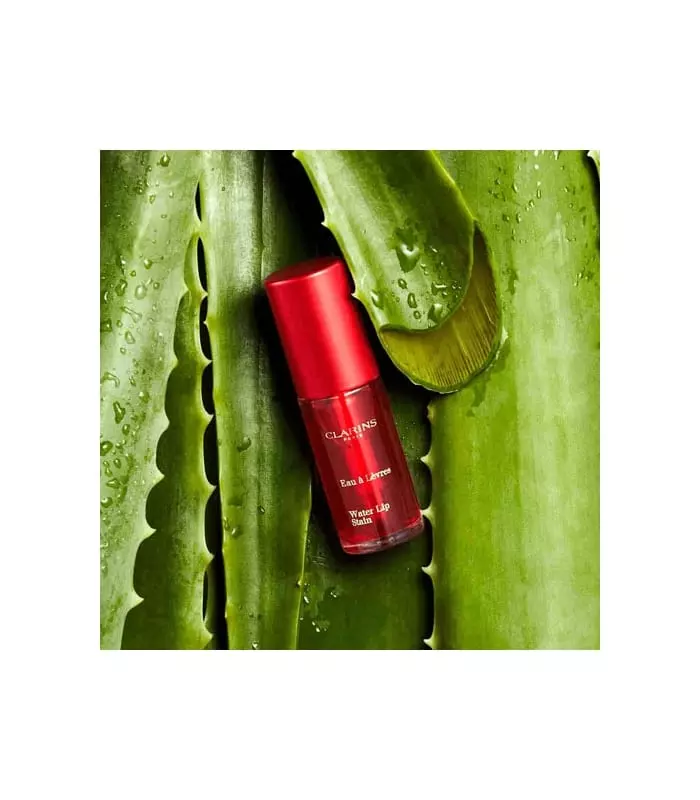 EAU À LÈVRES Rouge à Lèvres Non-Transfert Longue Tenue