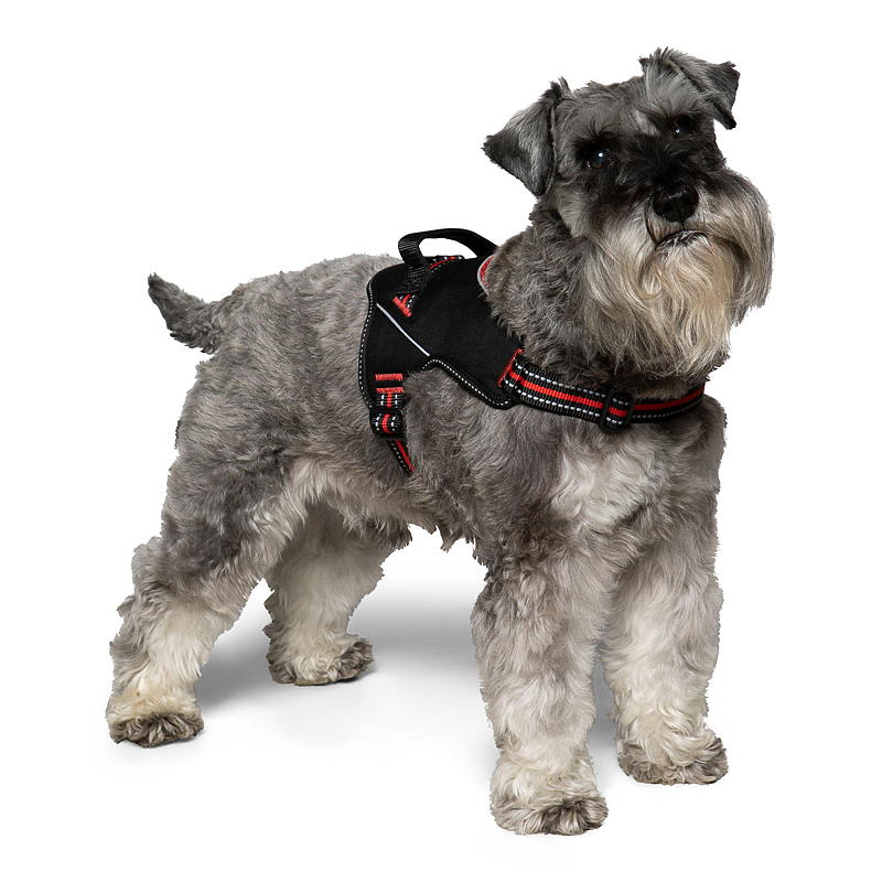 Zoozaker Hundesele 45 cm, m/håndtak