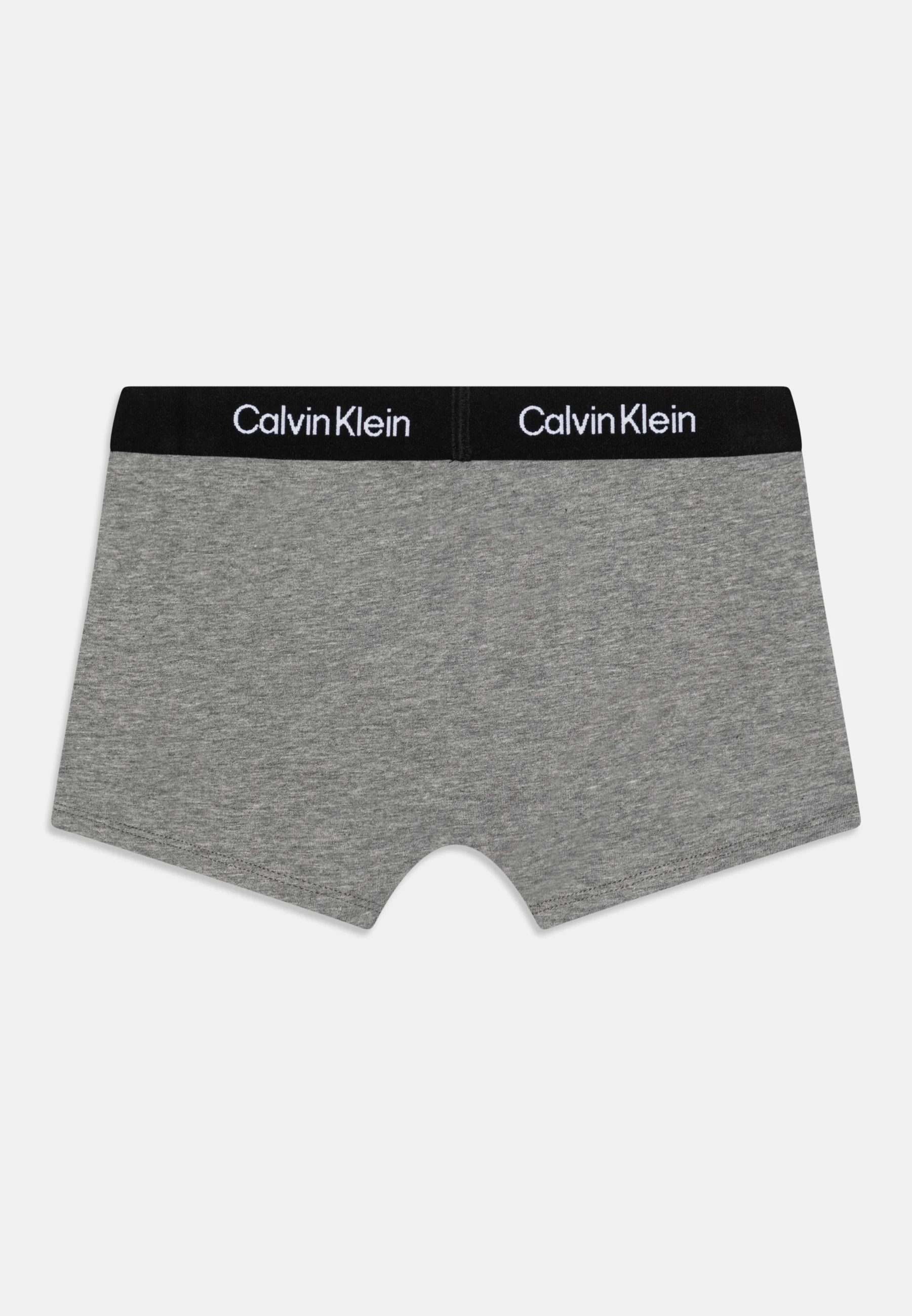 Calvin Klein Underwear TRUNK PACK DE 3 - Culotte