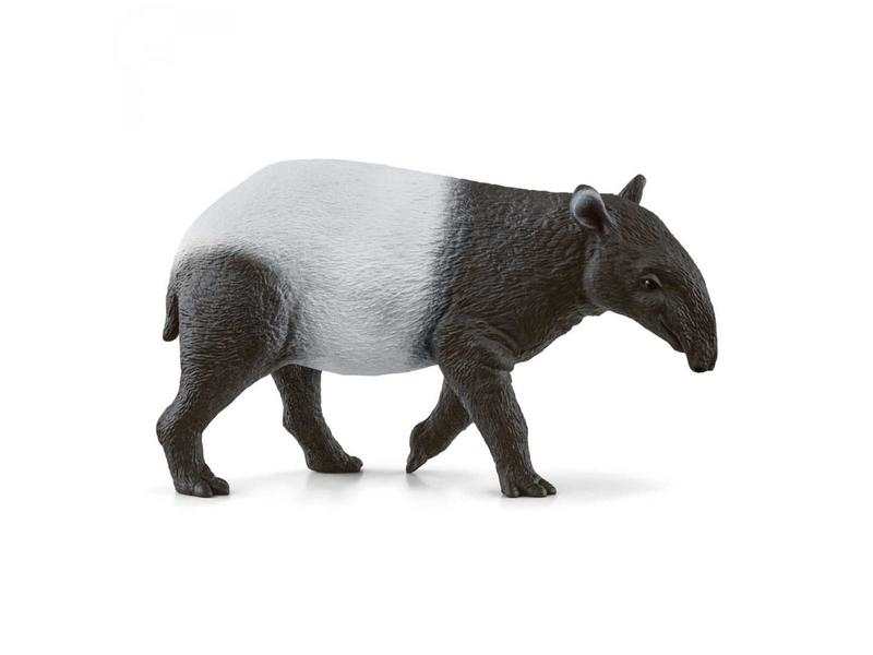 Tapir