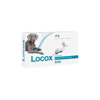 Locox Gelenk Tabletten