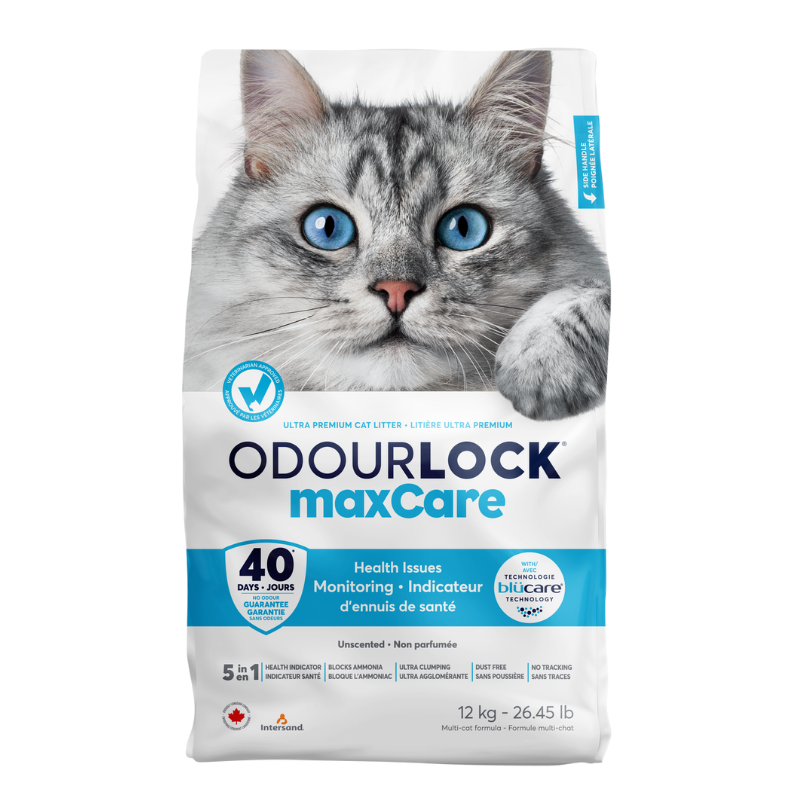 Intersand Katzenstreu Intersand ODOUR LOCK MaxCare Unscented 12kg