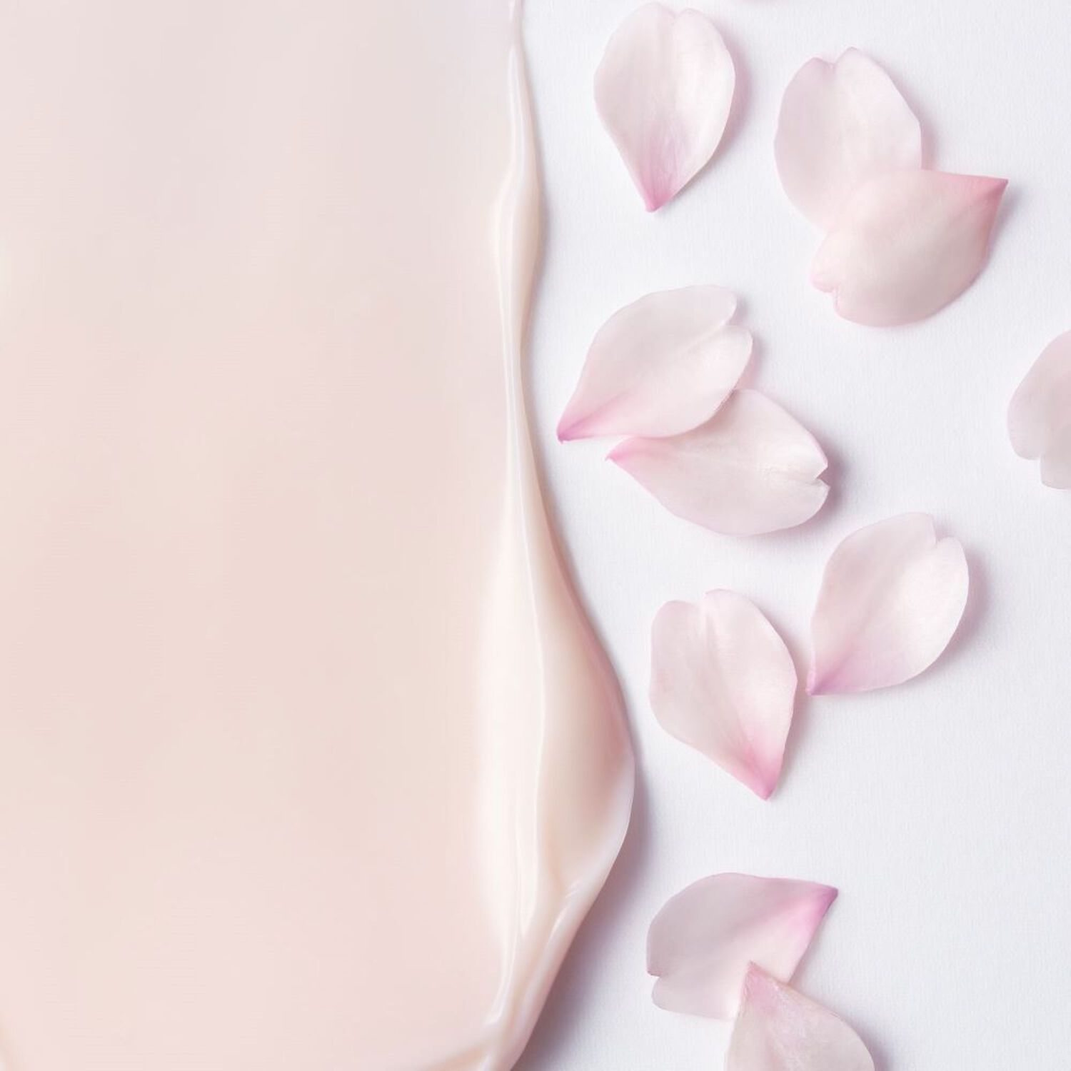 Shiseido White Lucent Crème Gelée Eclat