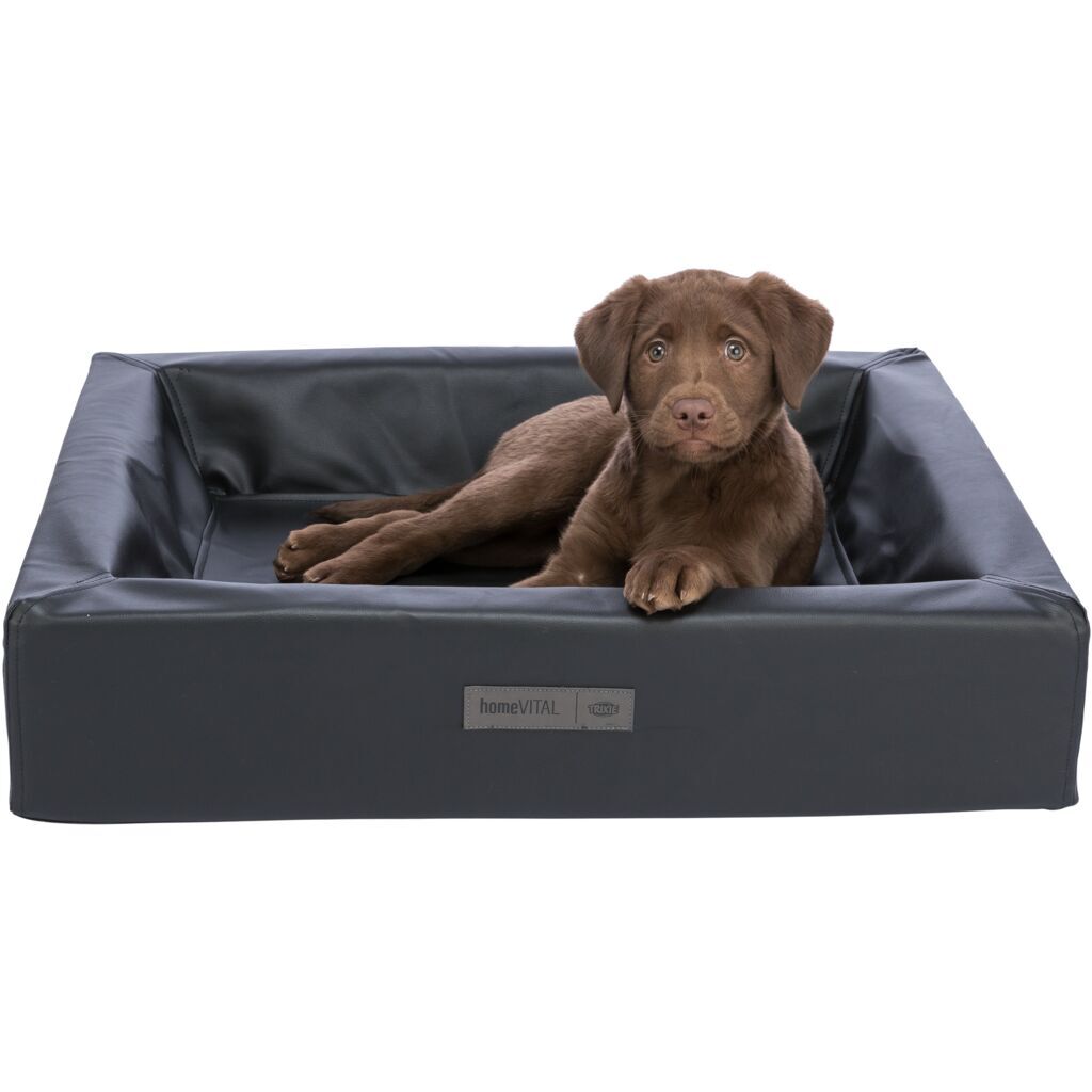 Trixie Hundebetten Trixie Vital Bett Remo 60 cm, 60 cm, 15 cm