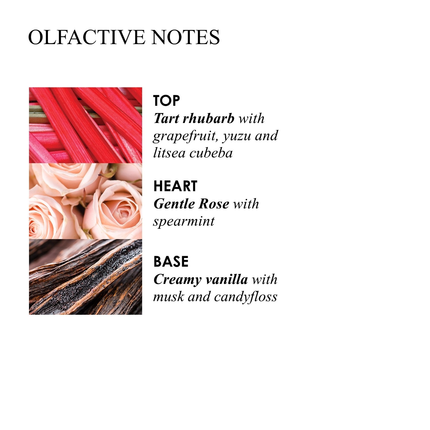 Delicious Rhubarb & Rose Fine Liquid Hand Wash Nachfüllpack