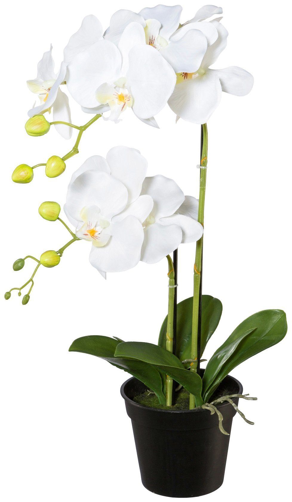 Kunstpflanze Orchidee, Creativ green, Höhe 55 cm