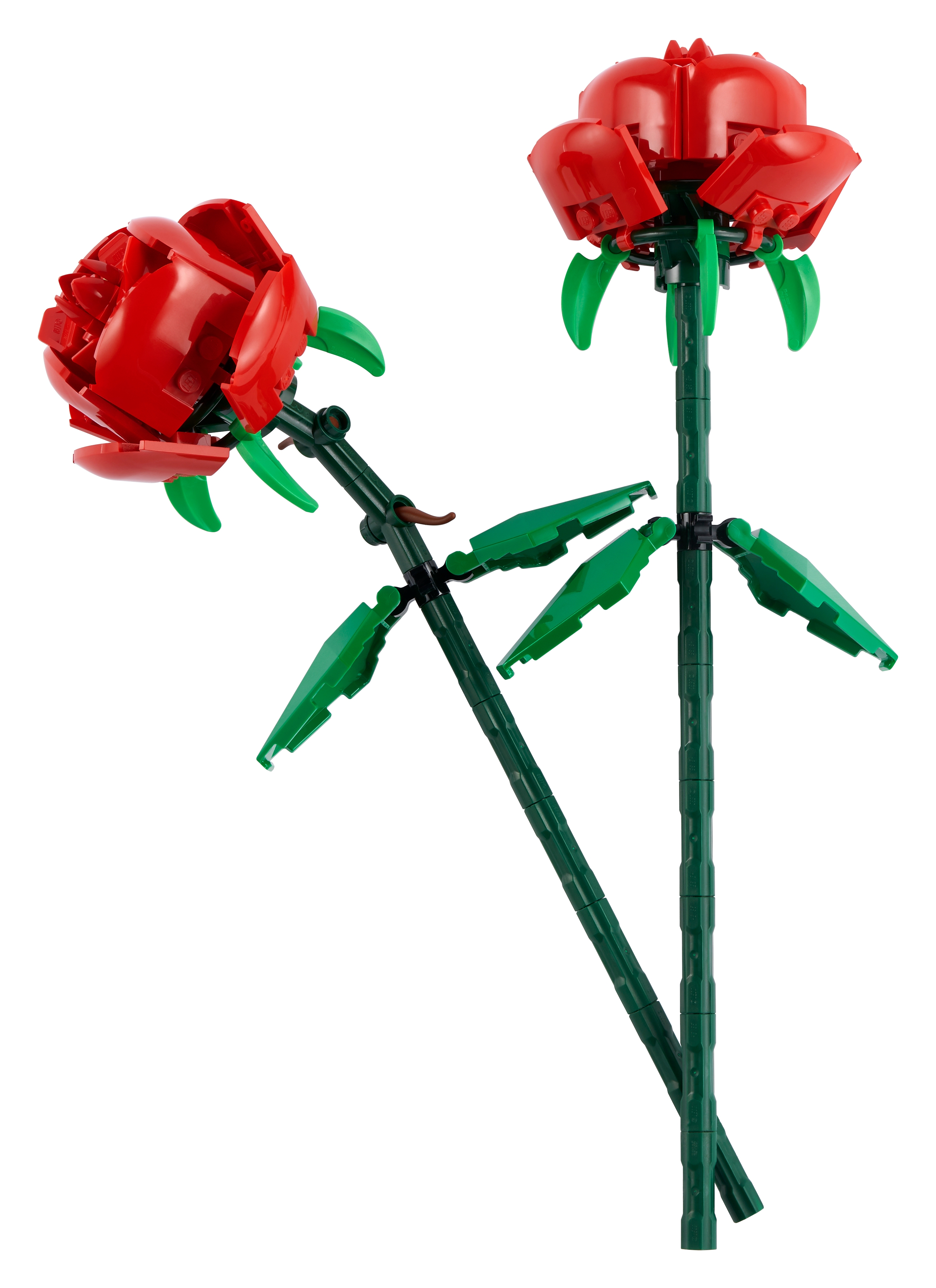 Rosen 40460