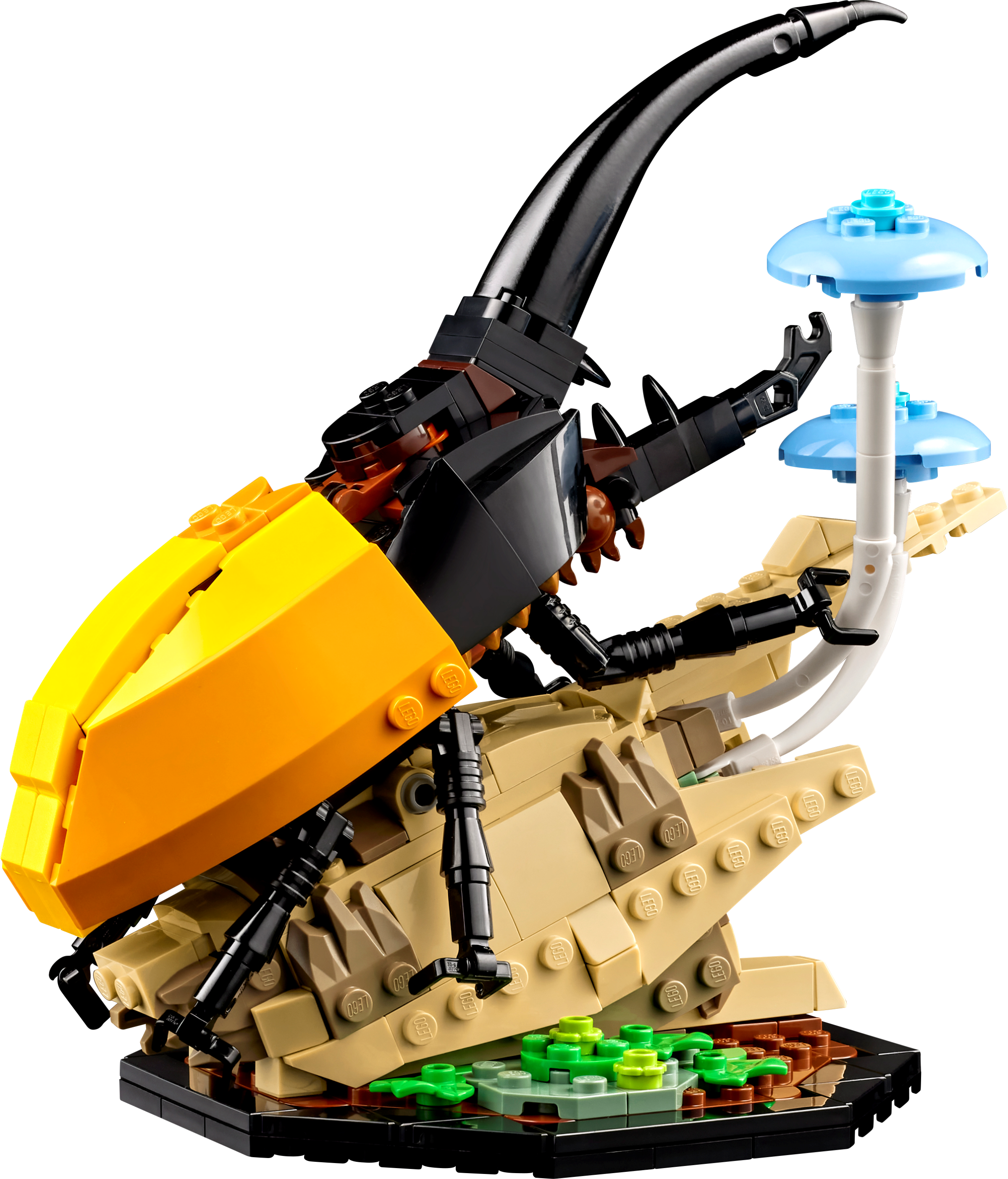 La collection d’insectes 21342