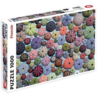 Puzzle - Bunte Seeigelgehäuse (1000 Teile)