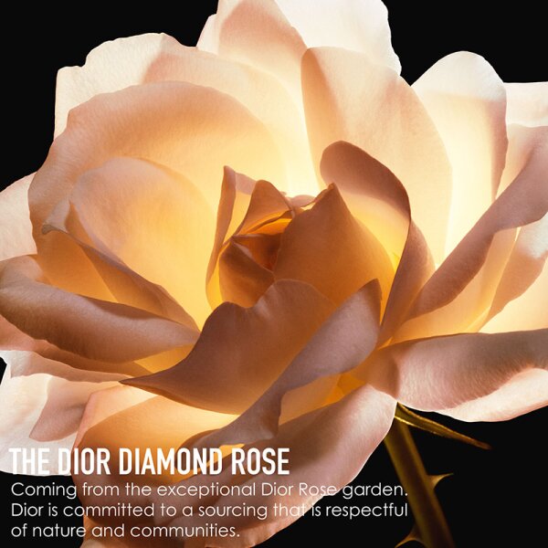 DIOR DIOR PRESTIGE La Crème Texture Riche Gesichtscreme