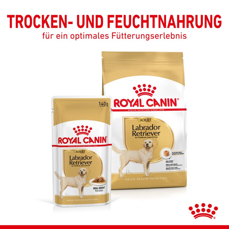 Royal Canin Labrador Retriever Adult in Soße