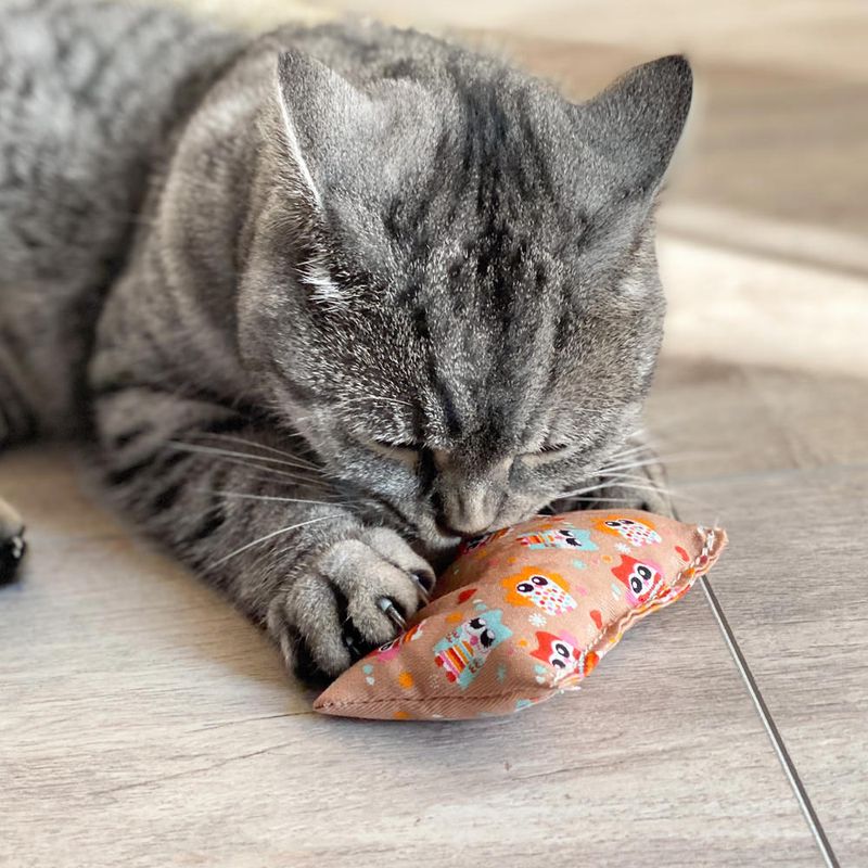 Aumüller Katzenspielzeug Baldriankissen Baldini zu TOP-Preisen