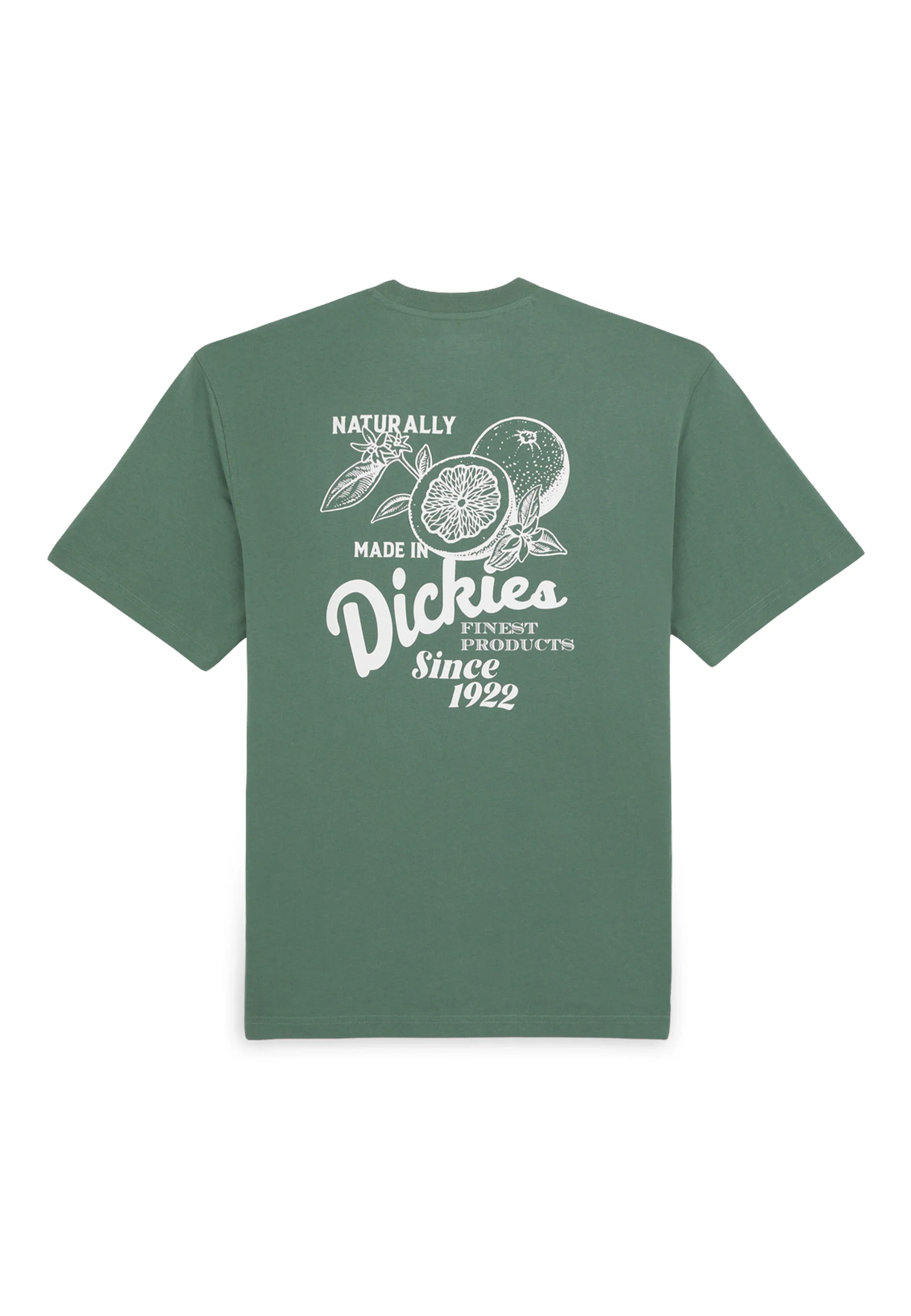 Dickies RAVEN TEE - Camiseta con estampado