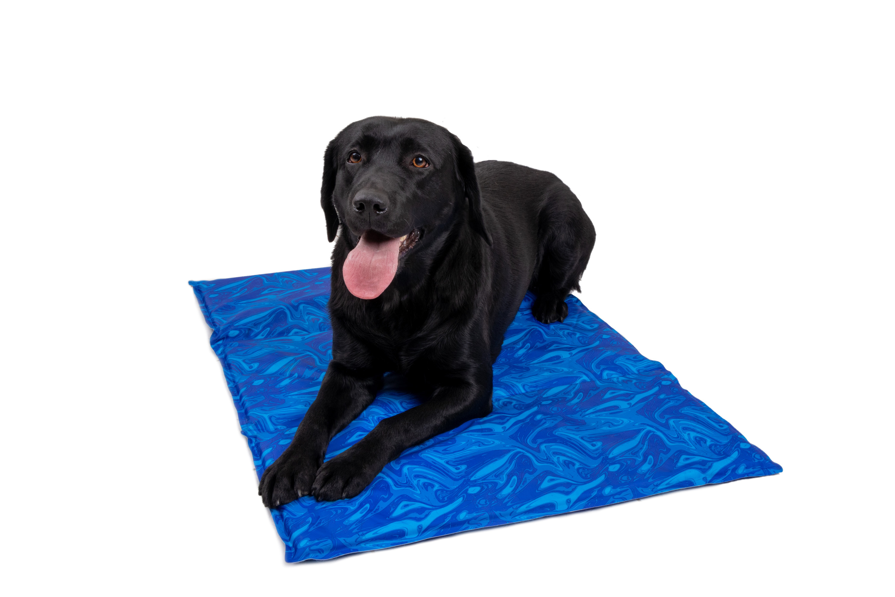 TrendPet Hundematten TrendPet Arctic Comfort 20 mm premium Kühlmatte blau L