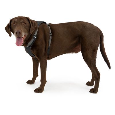 Ruffwear Hi & Light Harness, Twilight grey