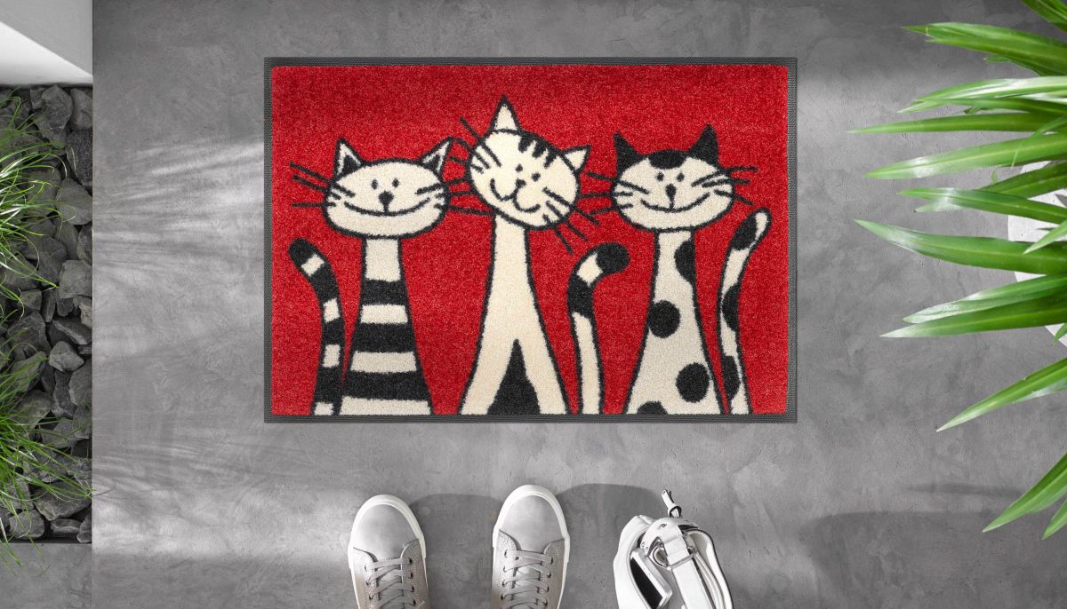 Fußmatte wash dry Three Cats 40 x 60 cm