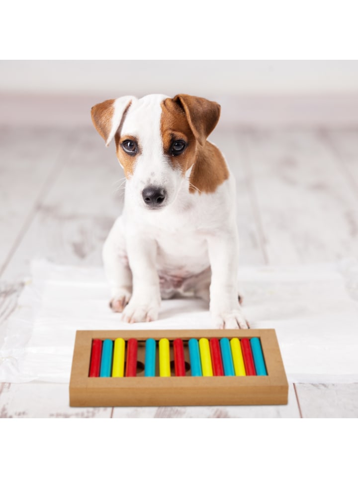 relaxdays Hunde-Intelligenzspielzeug in Bunt günstig kaufen onesize