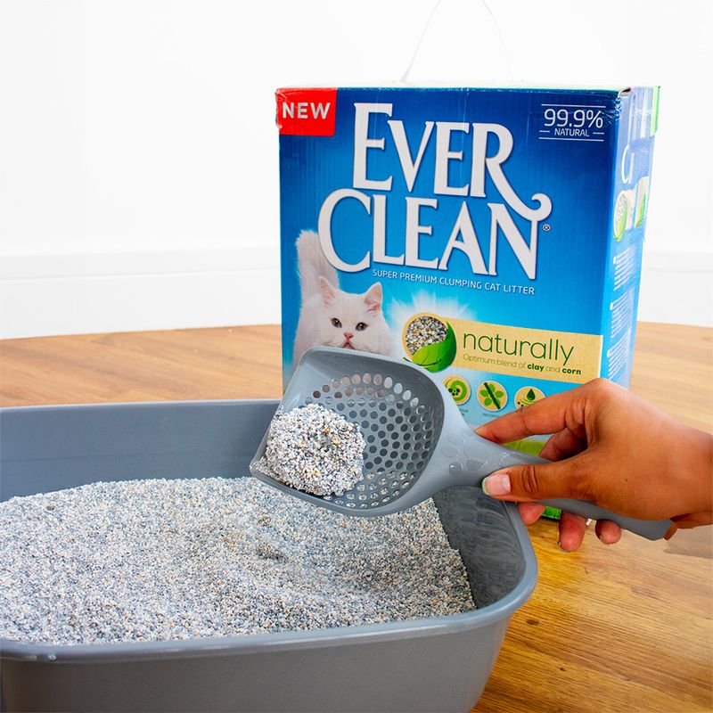 Ever Clean Naturally Katzenstreu zu TOP-Preisen