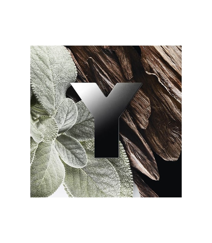 YVES SAINT LAURENT-Y -Eau de Parfum Vaporisateur