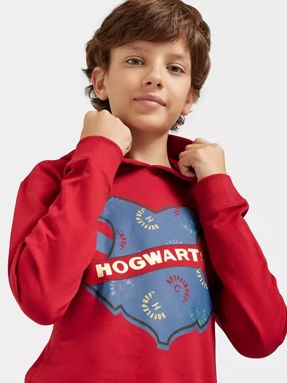 Harry Potter Hoodie