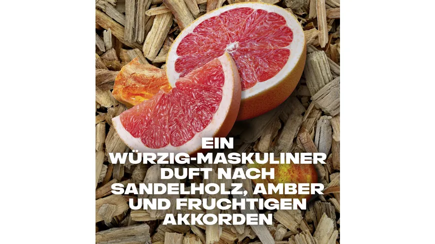 Axe Duschgel Alaska 250 ml 250 ml