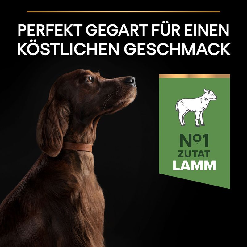 PURINA PRO PLAN Large Adult Athletic Lamm & Reis Sensitive Digestion