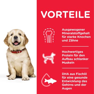 Hill's Science Plan Puppy <1 Large mit Huhn