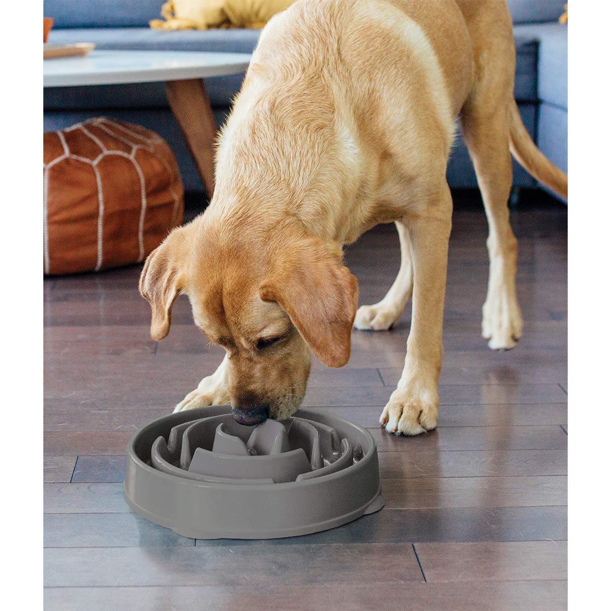 Fun Feeder Slo Bowl Anti Schling Drop Grey kaufen bei ZooRoyal