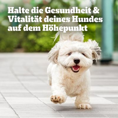 Pedigree Multivitamins Verdauung