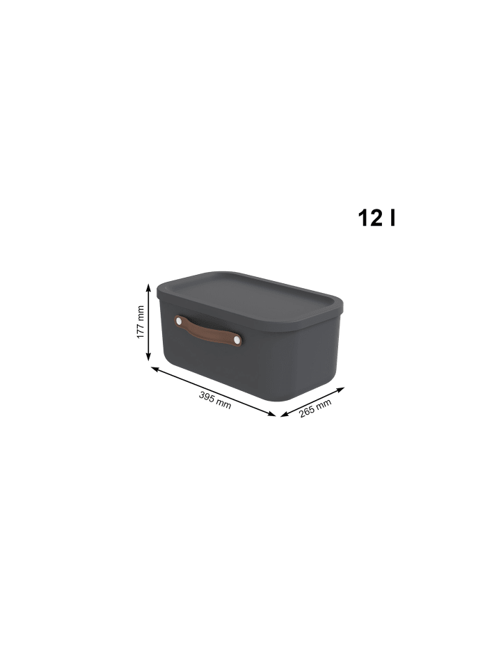 Rotho Aufbewahrungsbox 12 l MALOJA günstig kaufen onesize