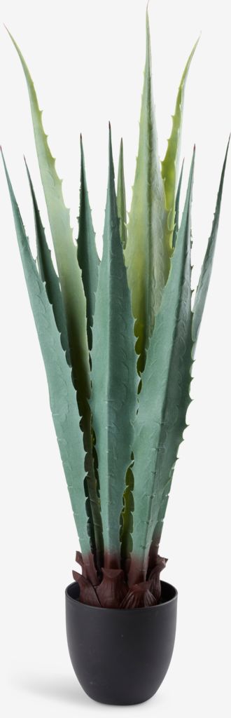 TOPPMEIS Plante artificielle TOPPMEIS L105cm agave vert