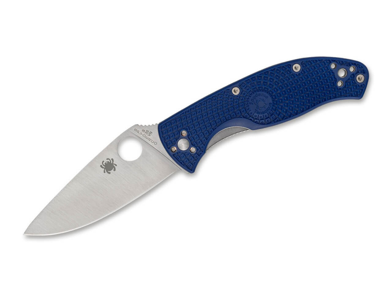 Tenacious Blue