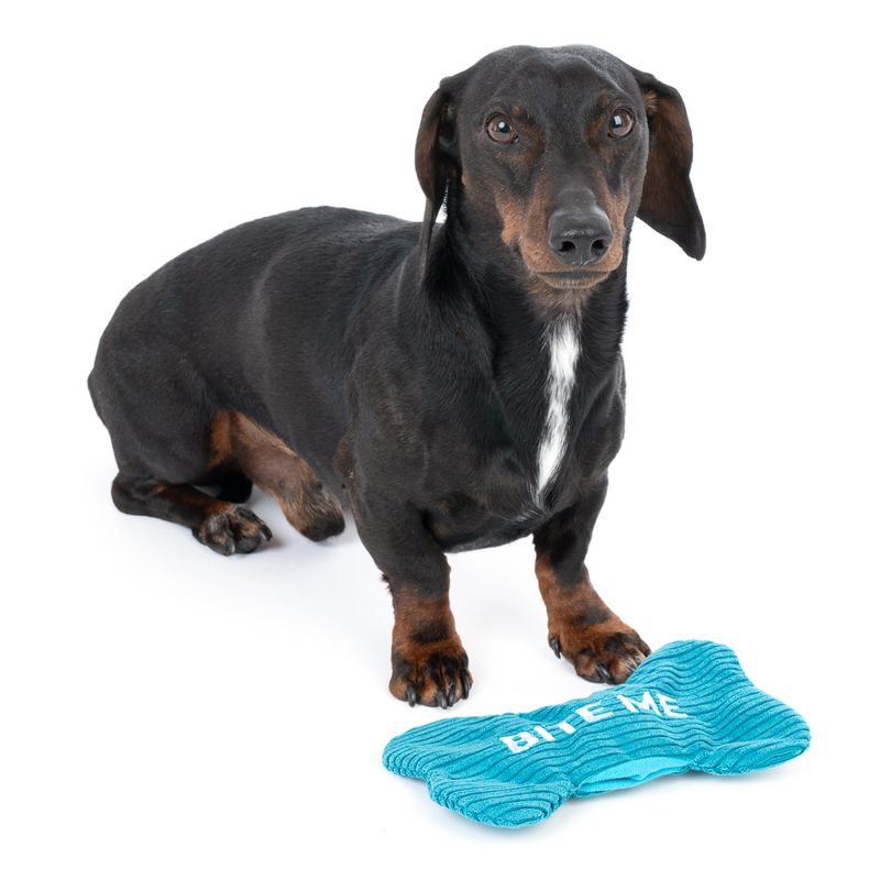 TIAKI Hundespielzeug Bite Me Plüschknochen