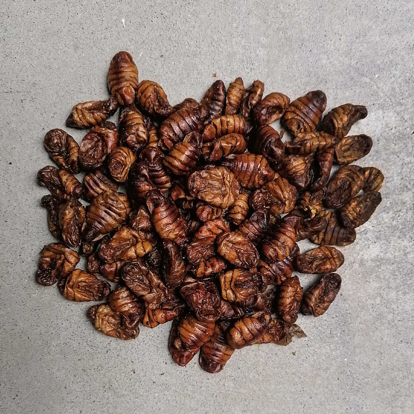 Insektus Ergänzungsfutter Insektus Seidenraupen 500 g