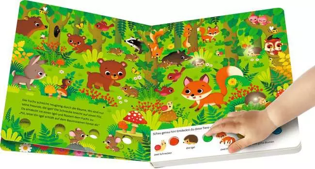 Mein großes Lichter-Wimmelbuch: Im Wald