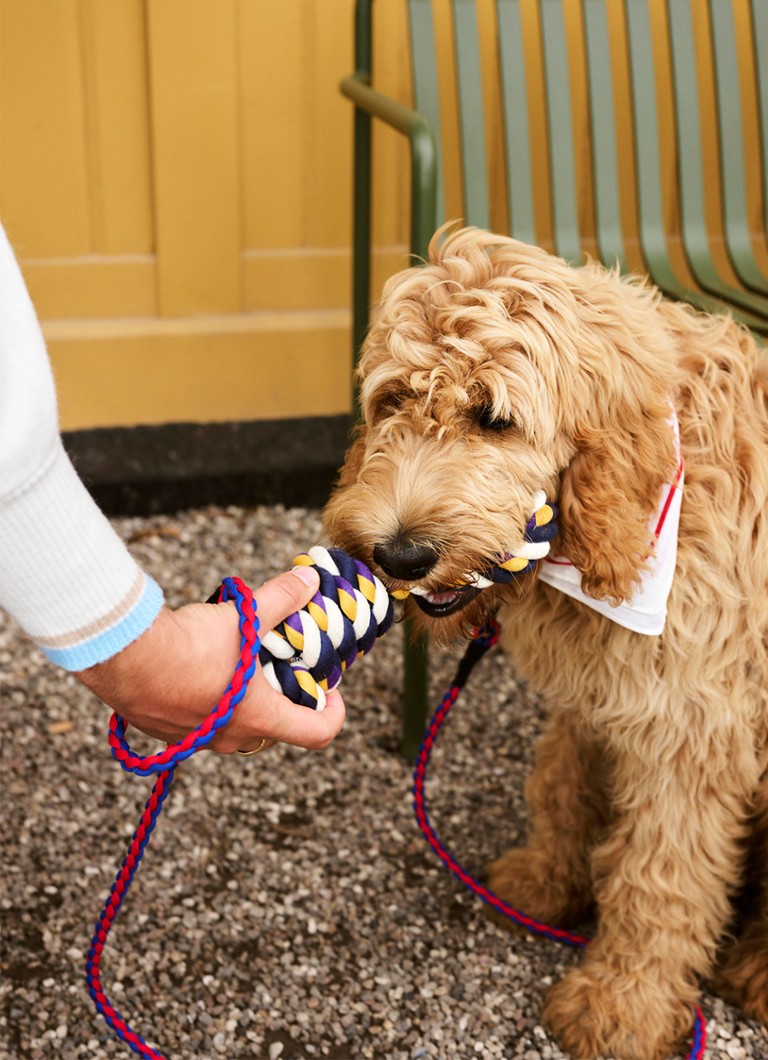 Guinzaglio per cani da fieno 160 cm