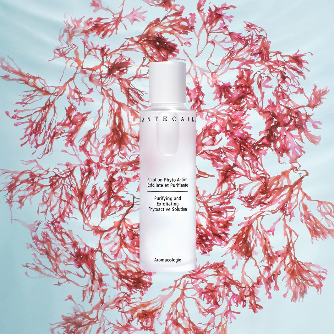 Purifying and Exfoliating Phytoactive Solution