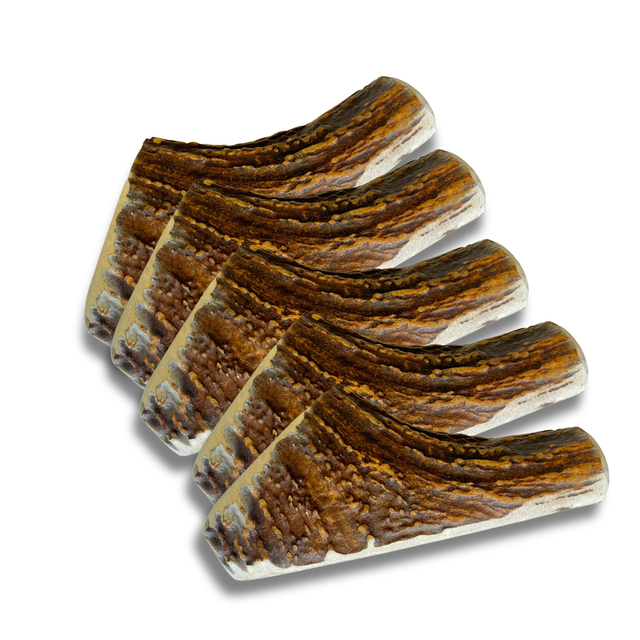 ChronoBalance Snacks ChronoBalance Elch Geweih Snack L