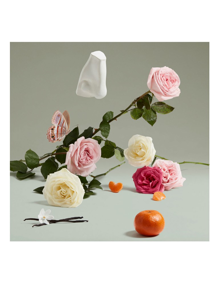 Penhaligon's  The Coveted Duchess Rose Eau de Parfum