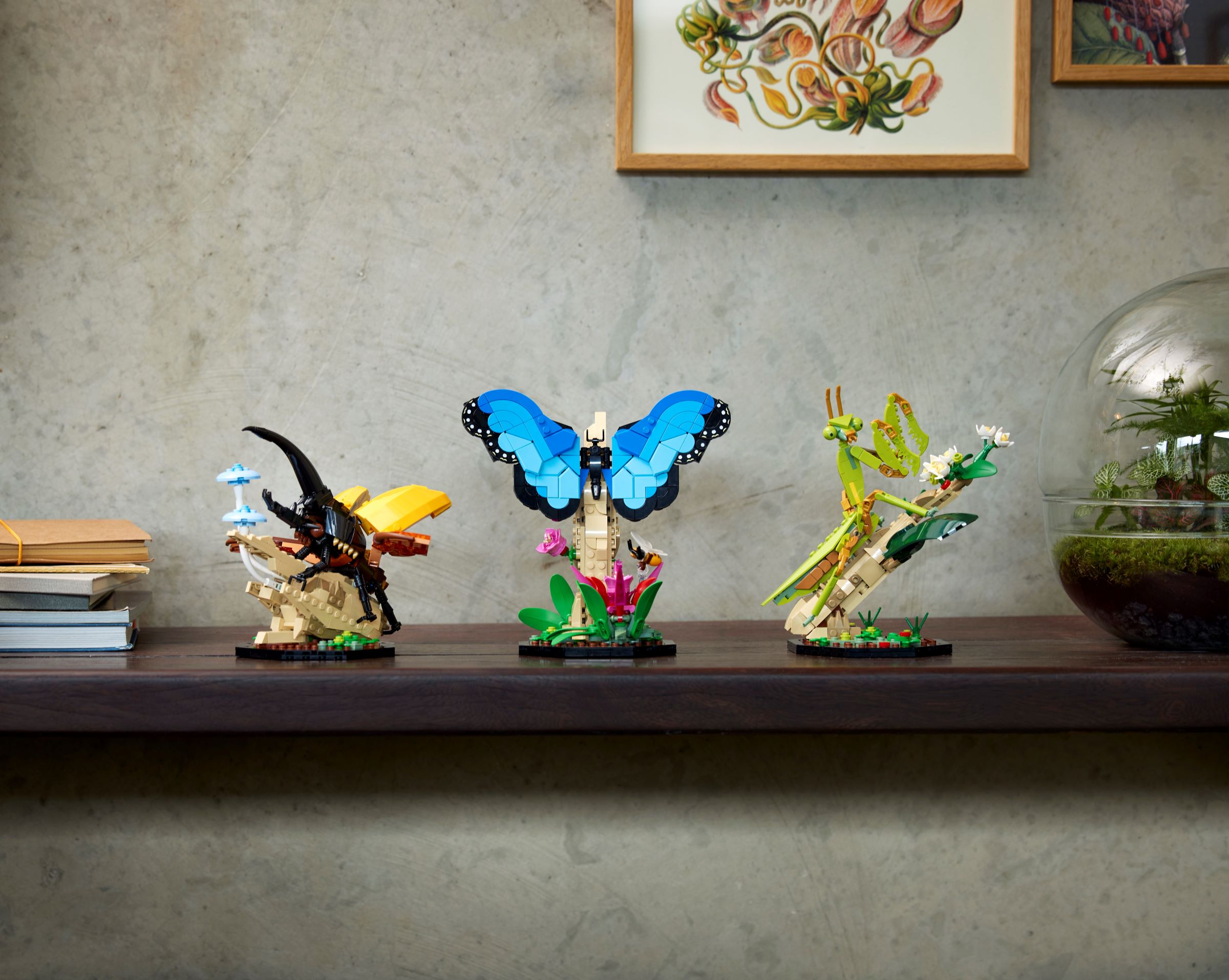 La collection d’insectes 21342