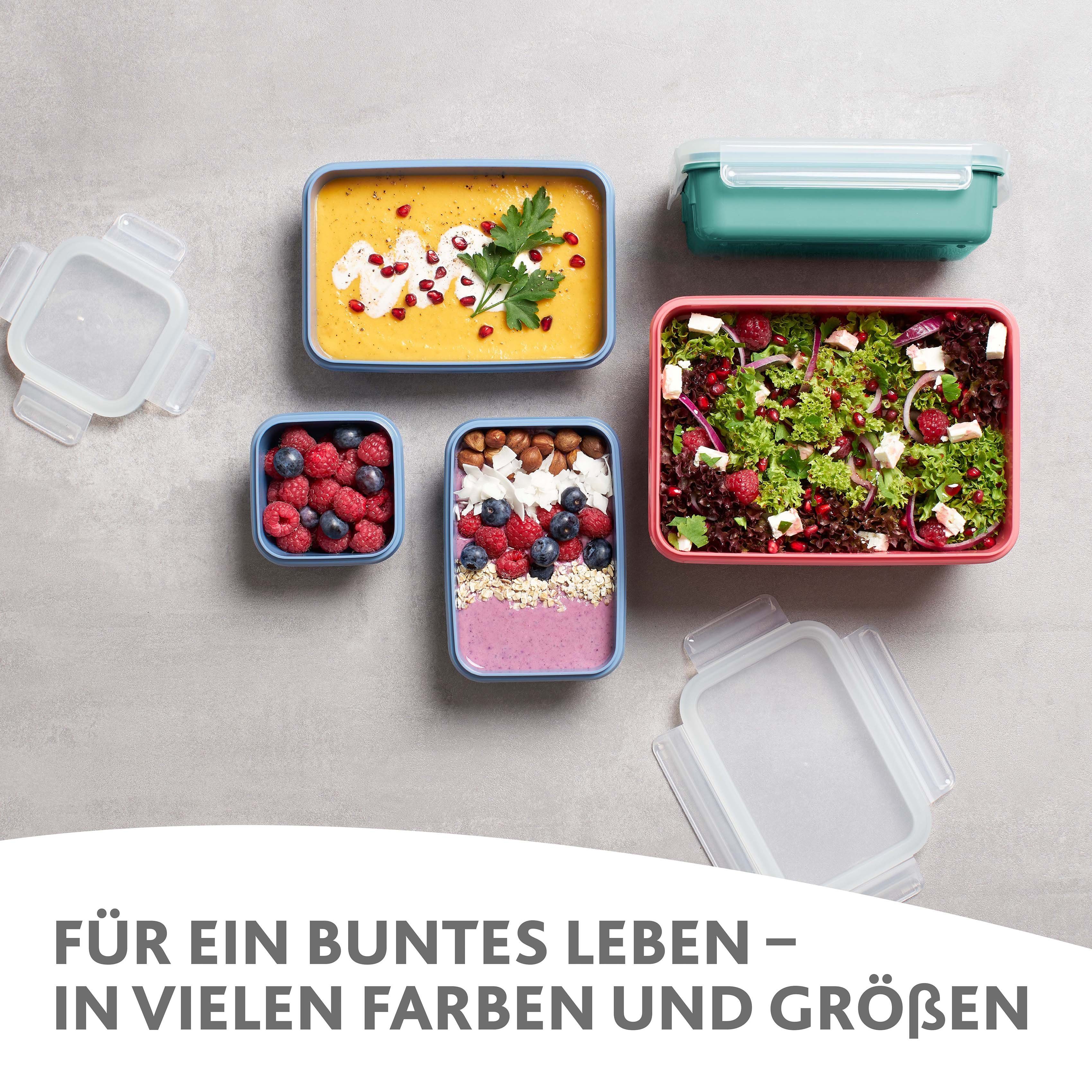 Emsa Frischhaltedose Clip & Close Color Edition, Kunststoff, (Set, 4-tlg), 0,2/0,55/0,8/2,2L, Kunststoff, auslaufsicher, hygienisch, innovativ