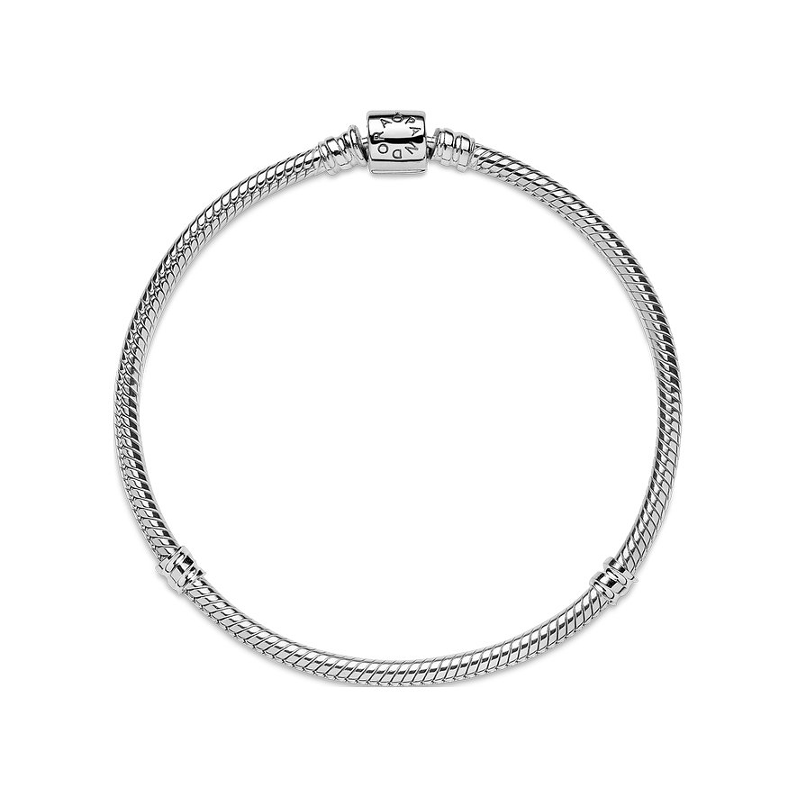 Pandora Armband Moments