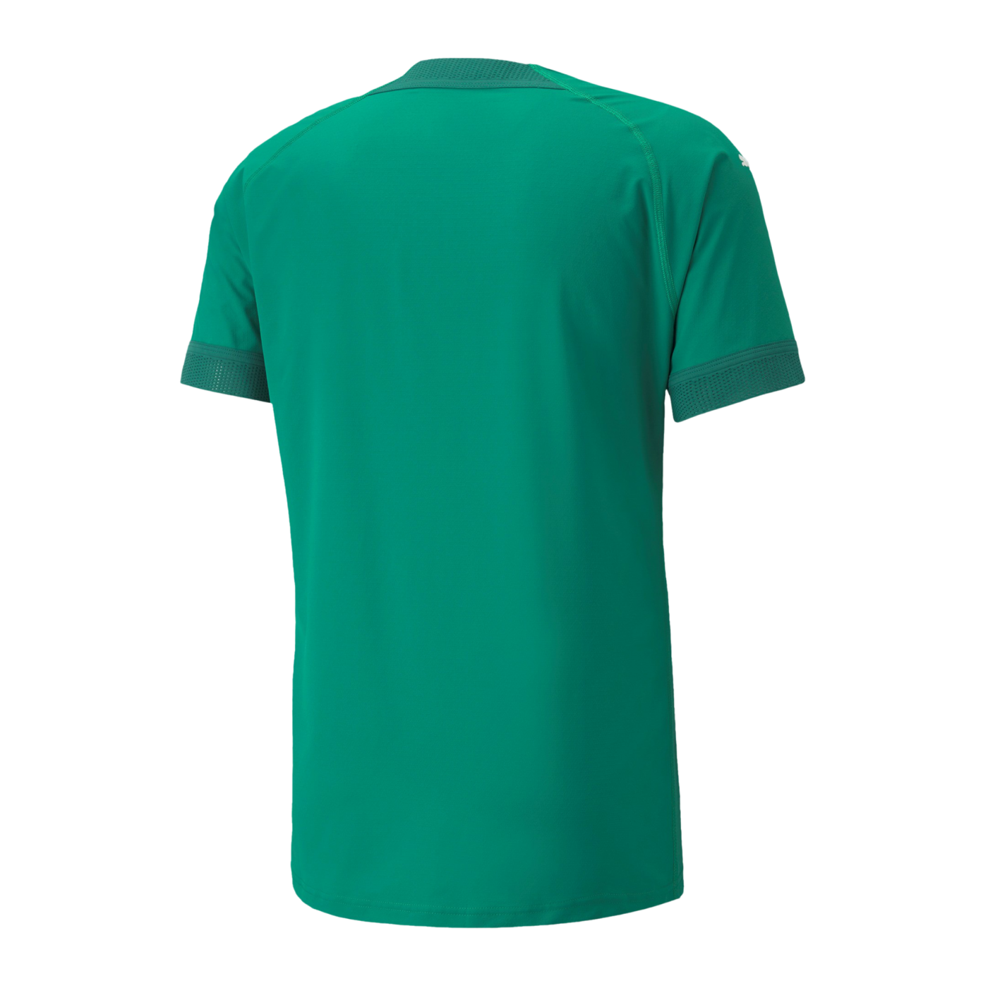 PUMA teamFINAL Ultraweave Trikot Grün F05
