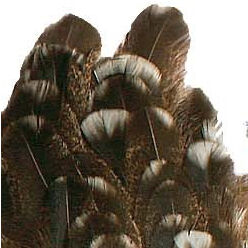 Fliegenbinden Federn JMC Hühnerhals
