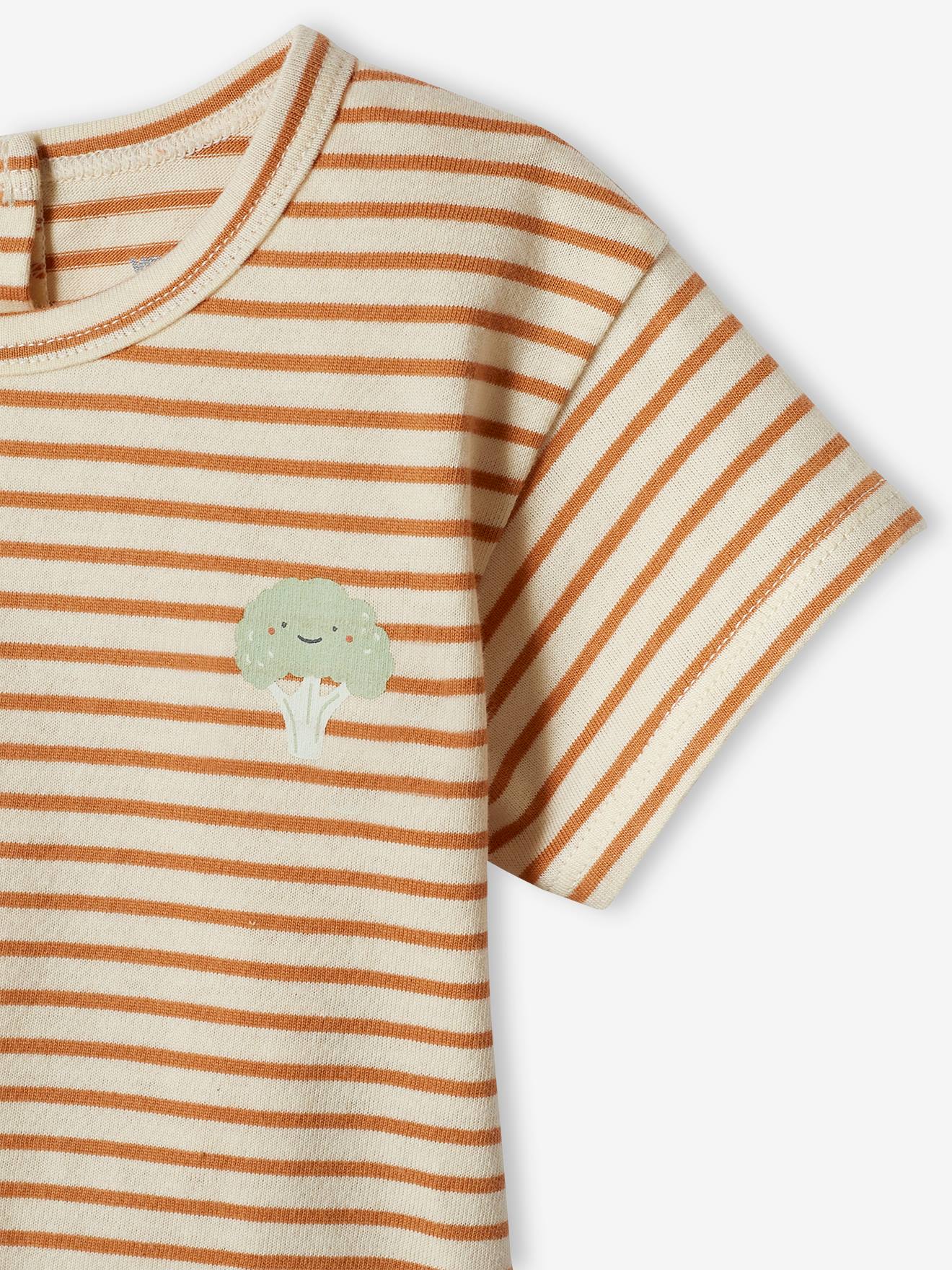 Lot de 2 Tee-shirts bébé manches courtes bleu glacier