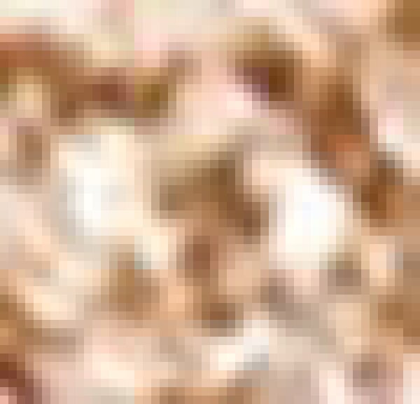 Stagecolor Cosmetics Lidschatten