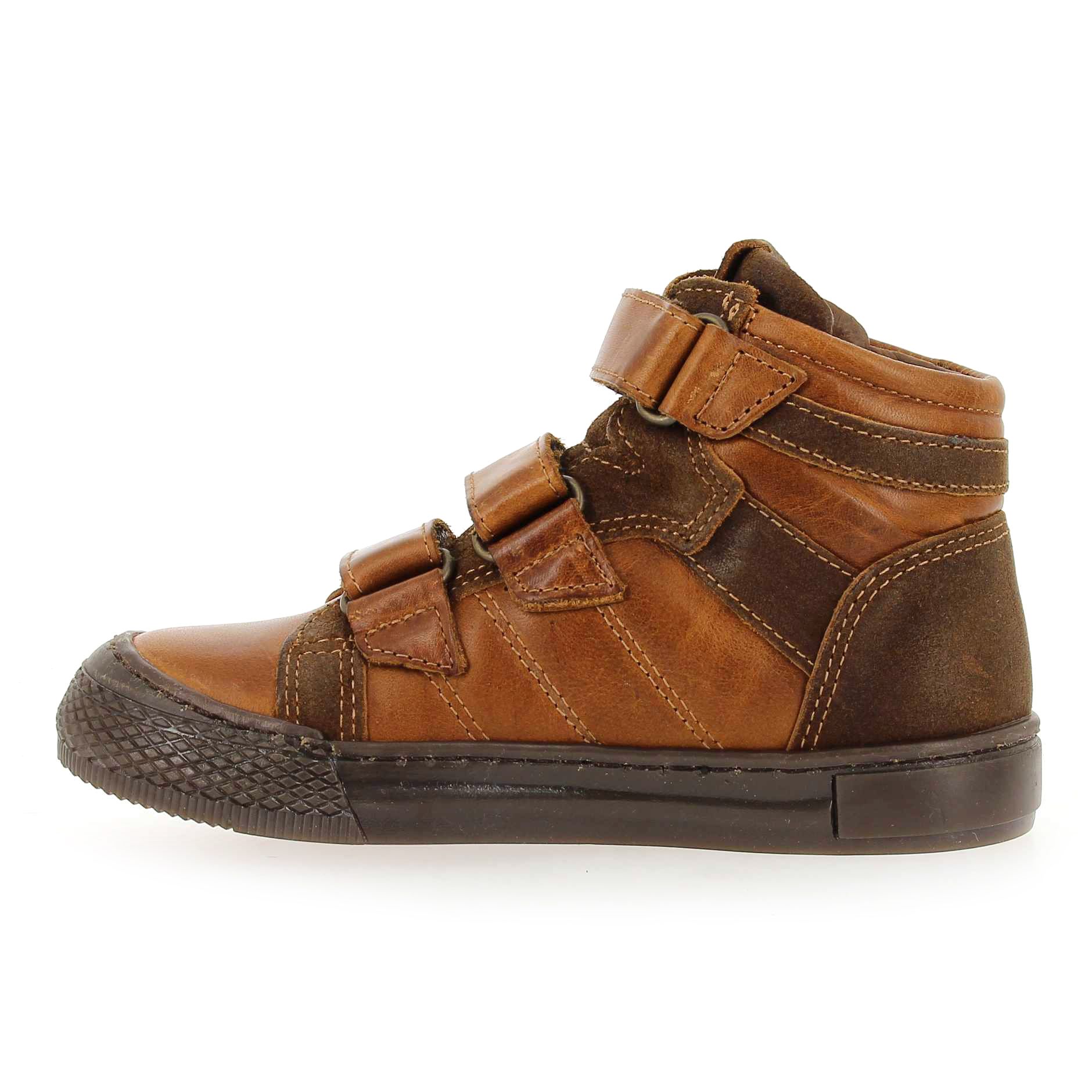 Norvik  TIMI - Cognac