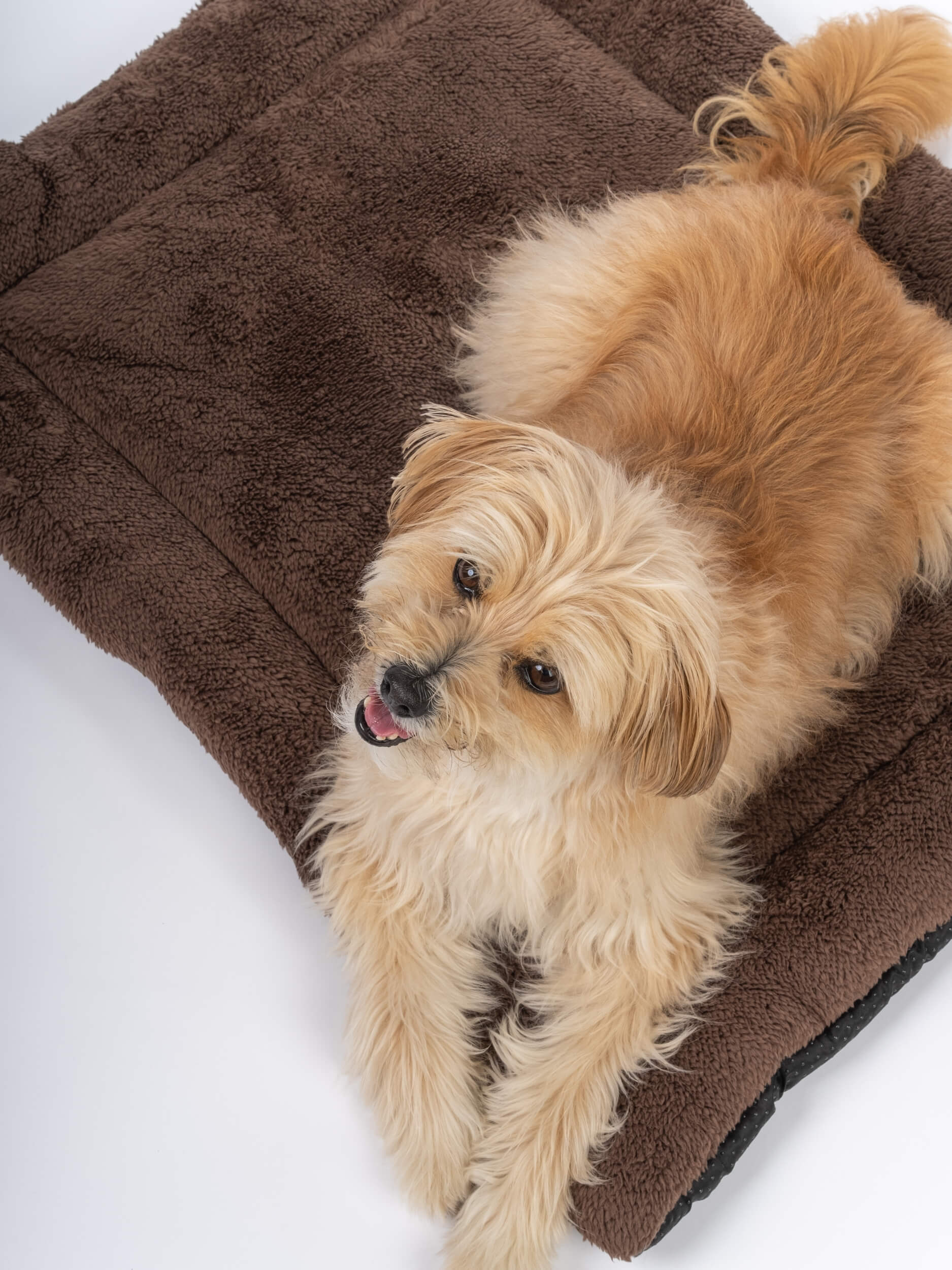 TrendPet Hundedecken TrendPet SoftPad gefütterte Liegedecke braun M
